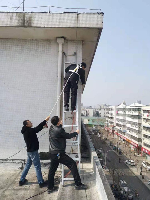 1613610990551390.jpg 2345_image_file_copy_8.jpg